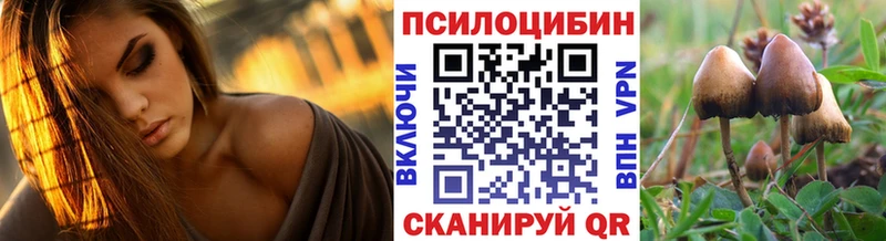 наркота  Старая Купавна  Галлюциногенные грибы мухоморы 